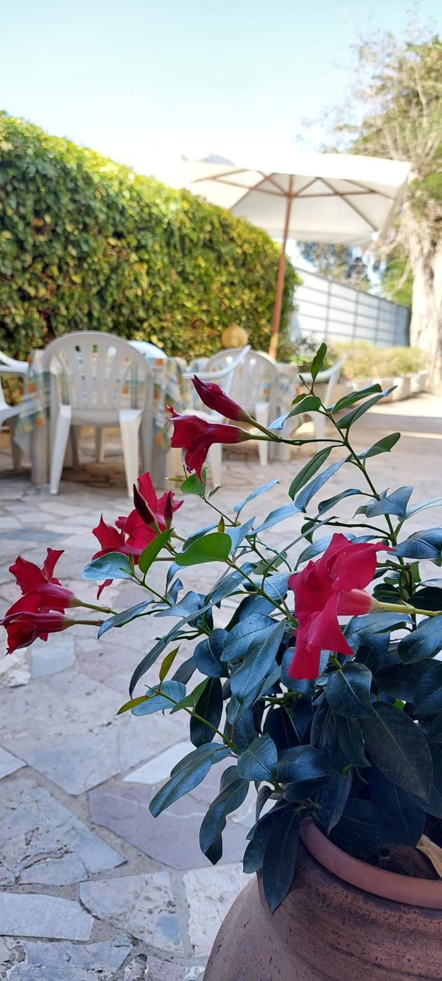 Hotel Lea Grosseto Ngoại thất bức ảnh